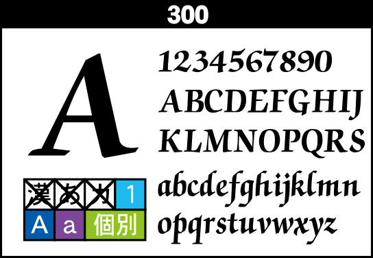 fontsample_300